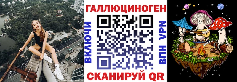 Купить  Прохладный  Галлюциногенные грибы GOLDEN TEACHER 